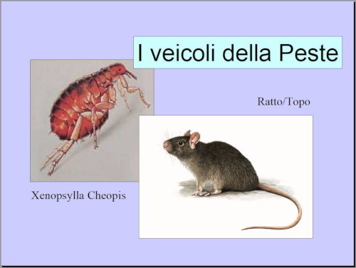  Slide 03 